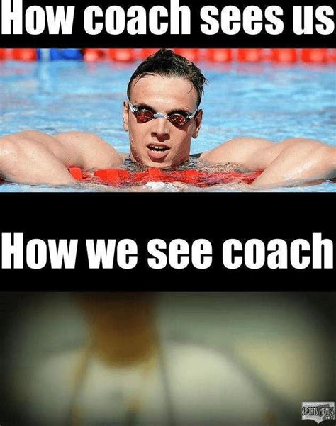 SwimmingMemes: Swimming Memes, Jokes, and .